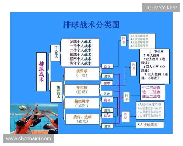 武汉排球队防反战术解析与比赛表现深度剖析