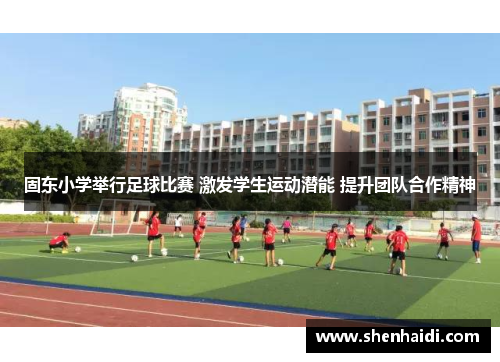 固东小学举行足球比赛 激发学生运动潜能 提升团队合作精神