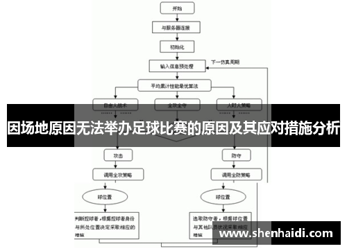 因场地原因无法举办足球比赛的原因及其应对措施分析