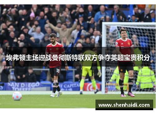 埃弗顿主场迎战曼彻斯特联双方争夺英超宝贵积分